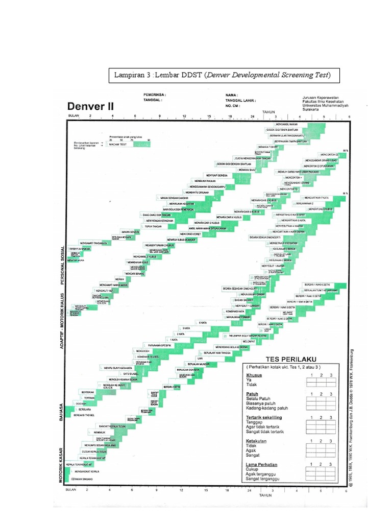 Denver II (Chart) | PDF