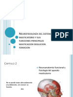 FUNCIONES PRINCIPALES DEL SISTEMA MASTICATORIO Estudiantes