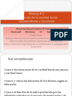 Módulo 2 Estructuras de La Cavidad Bucal y Sus Funciones