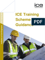 ICE-Training Scheme & Guidance