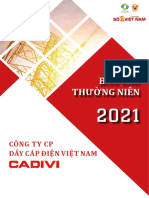 Cav - Bao Cao Thuong Nien Nam 2021 Compressed