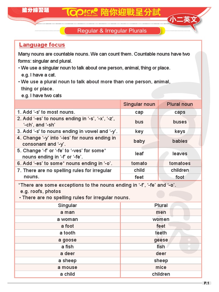 English 170 Exercise | PDF | Grammatical Number | Plural