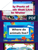 Aquatic Animals