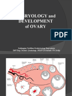 OVARIUM, EMBRYOLOGY N DEVELOPMENT