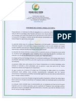 Informe de Consultoria