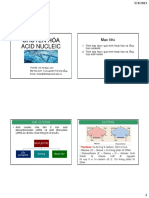 CHUYỂN HÓA ACID NUCLEIC