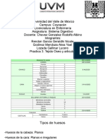 Practica 3 Tejido Óseo y Articular