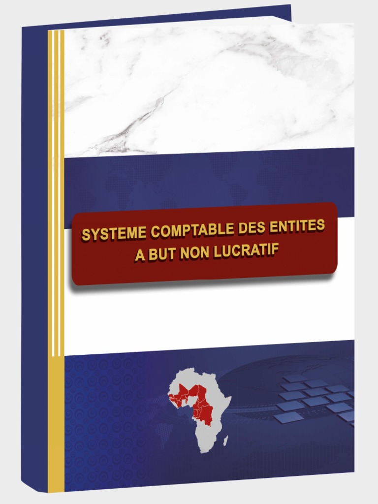 Système Comptable des Entités Non Lucratives | PDF