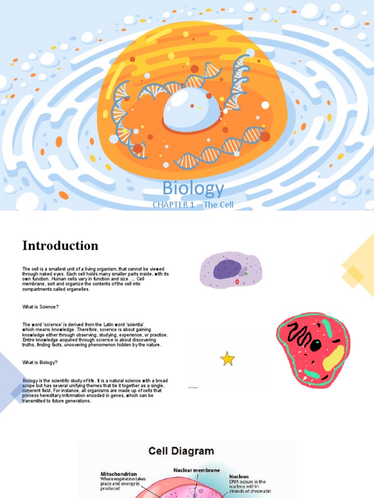 Biology CHAPTER 1 - The Cell | PDF | Science & Mathematics