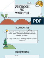 Carbon and Water Cycle Slides