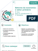 Setores Da Economia: o Setor Primário: 9º Ano Aula 01 (Nivelamento 1) 3º Bimestre