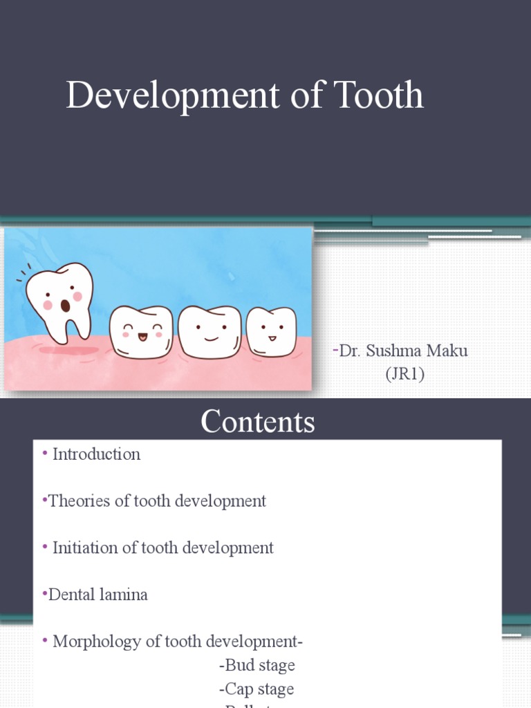 Wheeler's Dental Anatomy Physiology And Occlusion 11th Edition Pdf