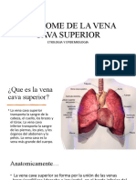 Sindrome de La Vena Cava Superior