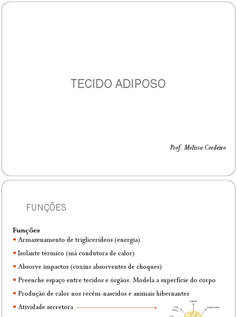 tecido-adiposo-profmelissa-pdf