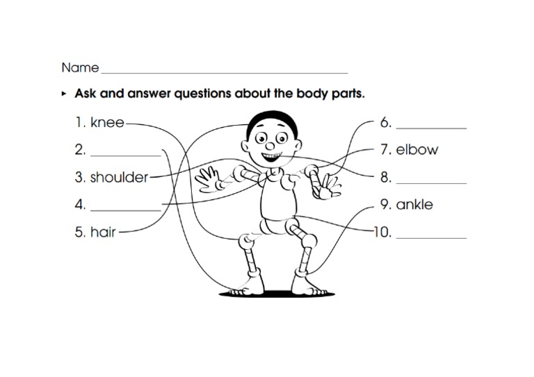 body parts worksheet | PDF