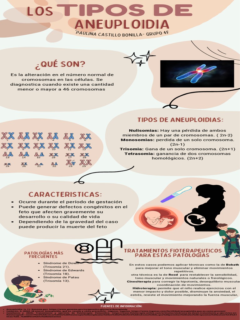 Infografia Aneuploidias | PDF