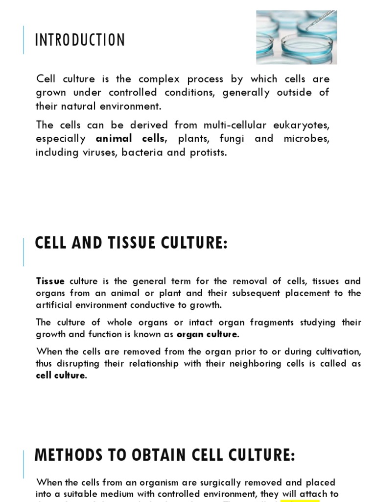 4.introduction To Basic Cell Culture PDF