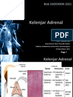 Kelenjar Adrenal: Blok ENDOKRIN 2021