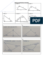 Practica de Triangulos Notables