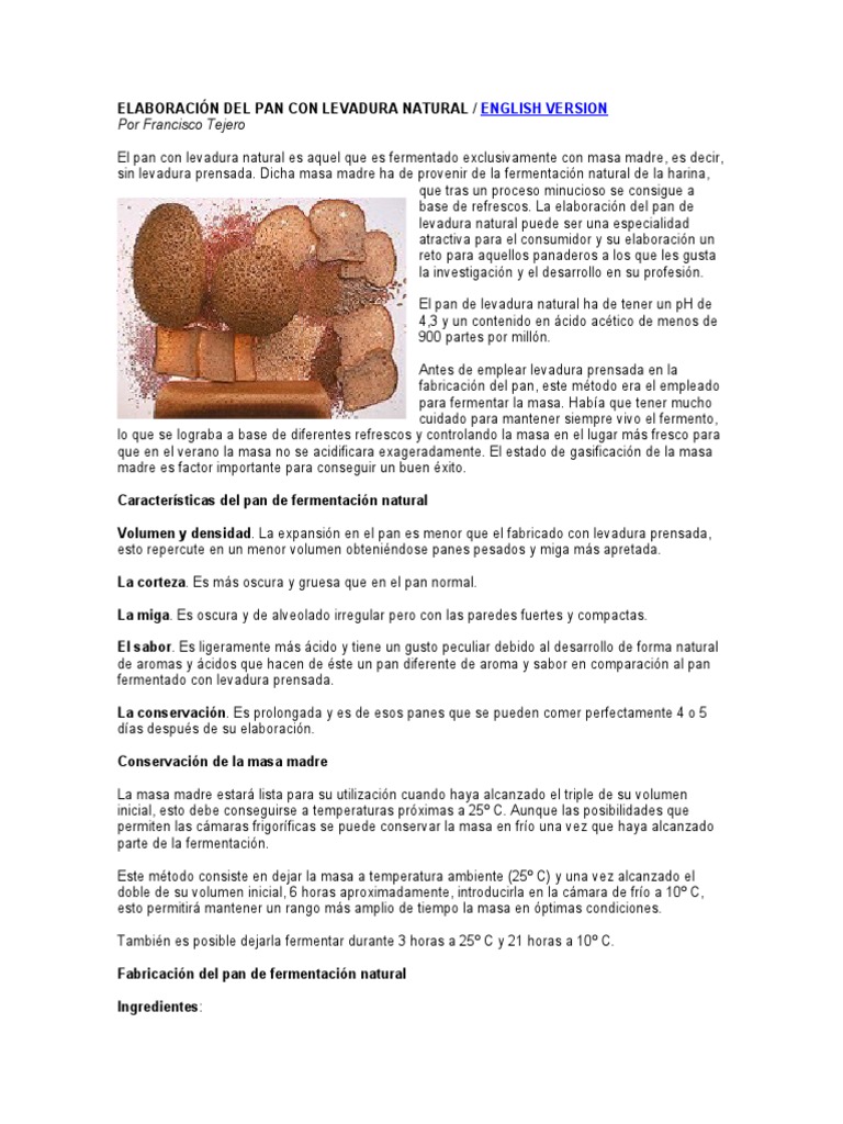 Elaboración de Pan con Levadura Natural | PDF | Panes | De masa fermentada