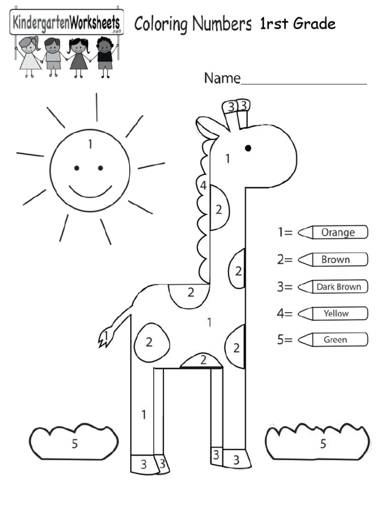 Exam 2 Fist Grade | PDF