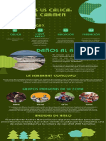 Infografía Indígenas de Playa Del Carmen Vs Calica
