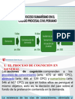 Proceso Sumarísimo