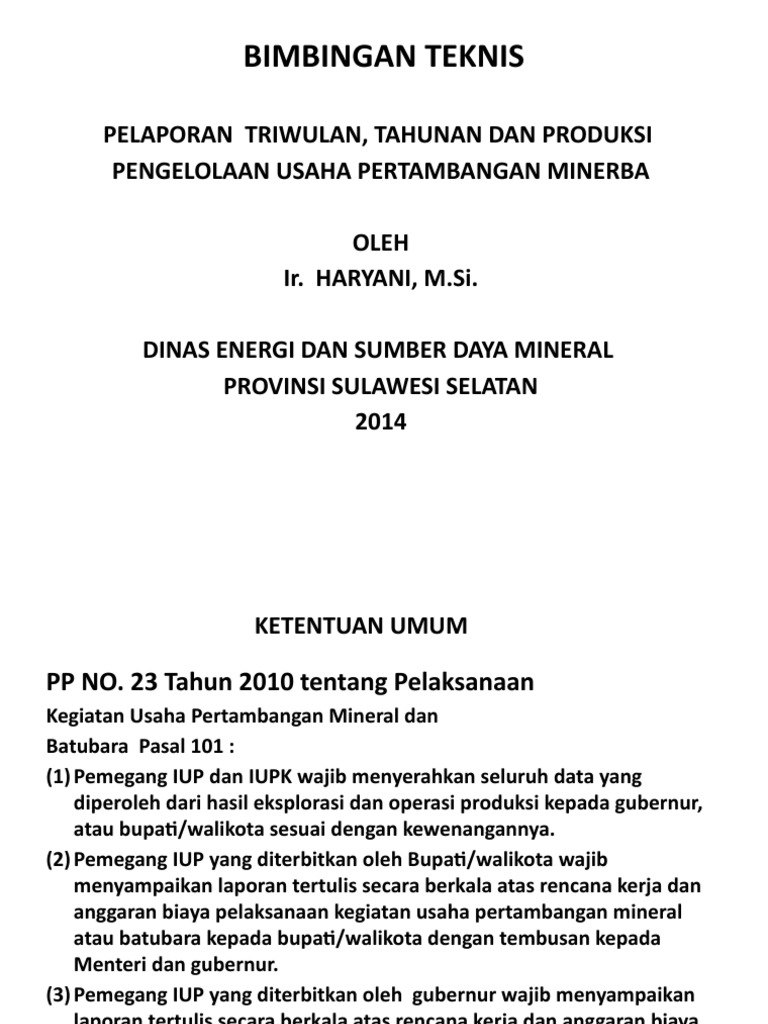 Pelaporan Iup | PDF