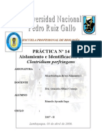 Microbiologia de Alimentos: Practica Nº 14-Aislamiento e Identificacionde Clostridium Perfringens