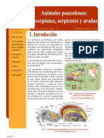 Animales Ponzonosos (Escorpiones, Serpientes y Aranas)