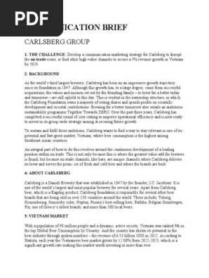CARLSBERG MARKETING BRIEF