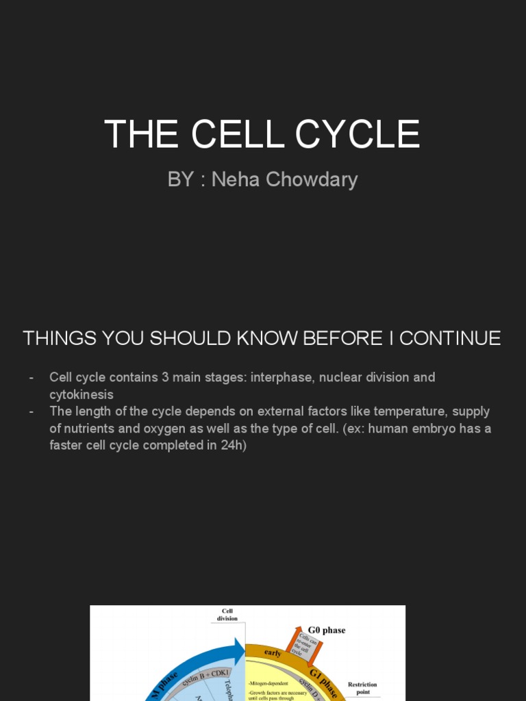The Cell Cycle Biology Diagrams