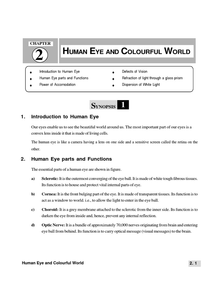 02 - Human Eye and Colourful World - X - SSM | PDF | Eye | Rainbow