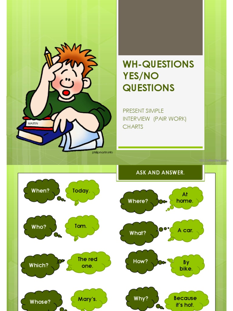 Wh-Questions and Yes - No Questions | PDF