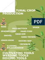 Tools in Agri (Canva)