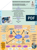 Enfermería Como Disciplina Profesional