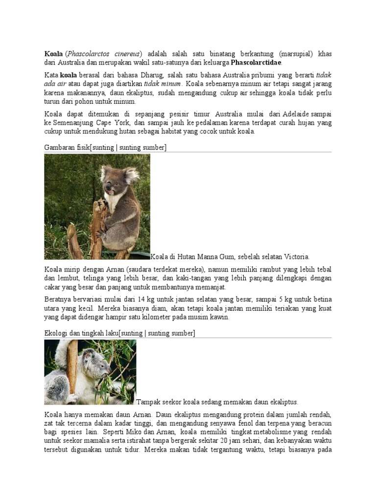 Deskripsi dan Kebiasaan Koala | PDF | Sains & Matematika