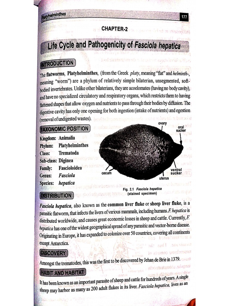 NON CHORDATE ZOOLOGY intelligence overview