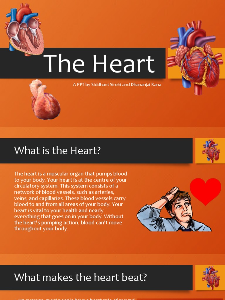 Heart PDF