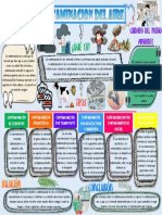 John Rivera 3a Biologia Organizador Grafico de La Contaminacion Ambiental (Aire)