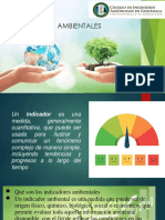 Indicadores Ambientales2