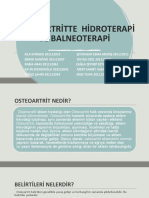 Osteoartri̇tte Hi̇droterapi̇ Ve Balneoterapi̇ PDF