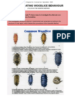 Experimental Biology Diagnostic Evaluation Sept 2023