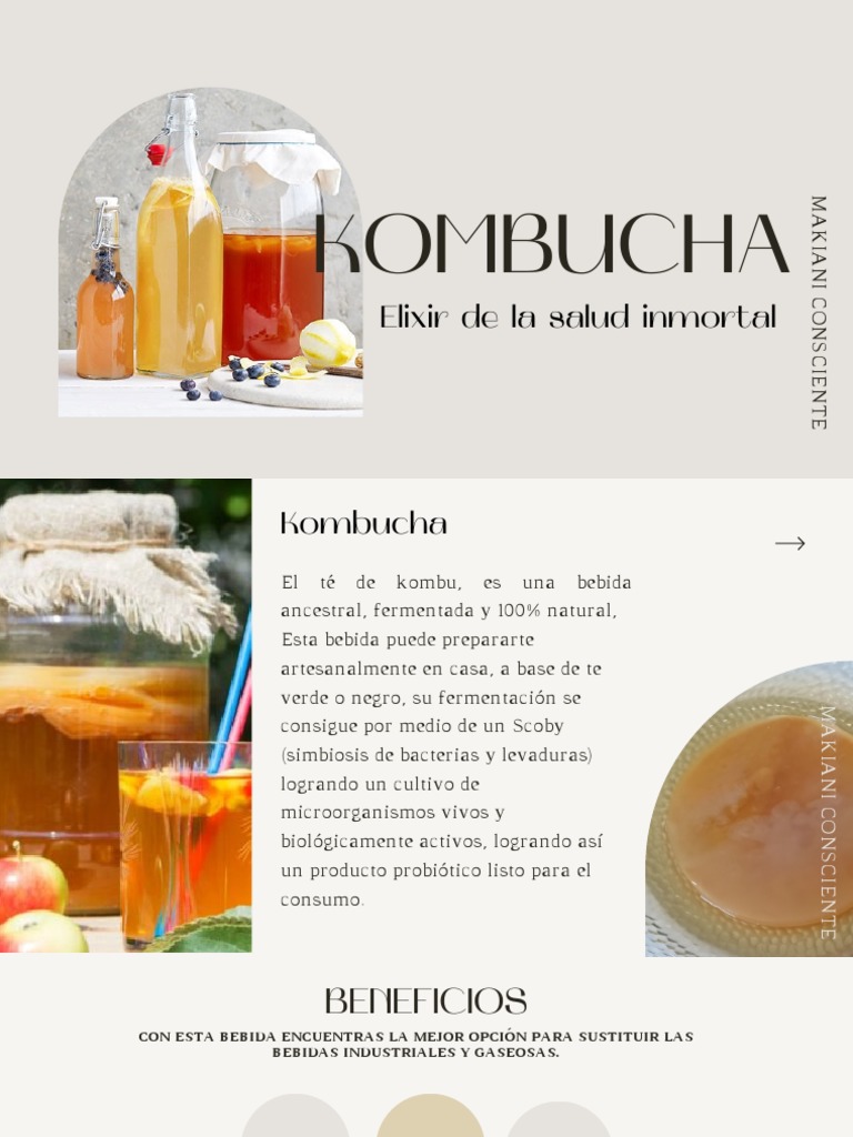Guia Kombucha PDF