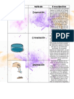 Cuadro Comparatvi de Quimica