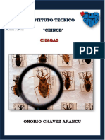 Chagas (Onorio Chavez Arancu)