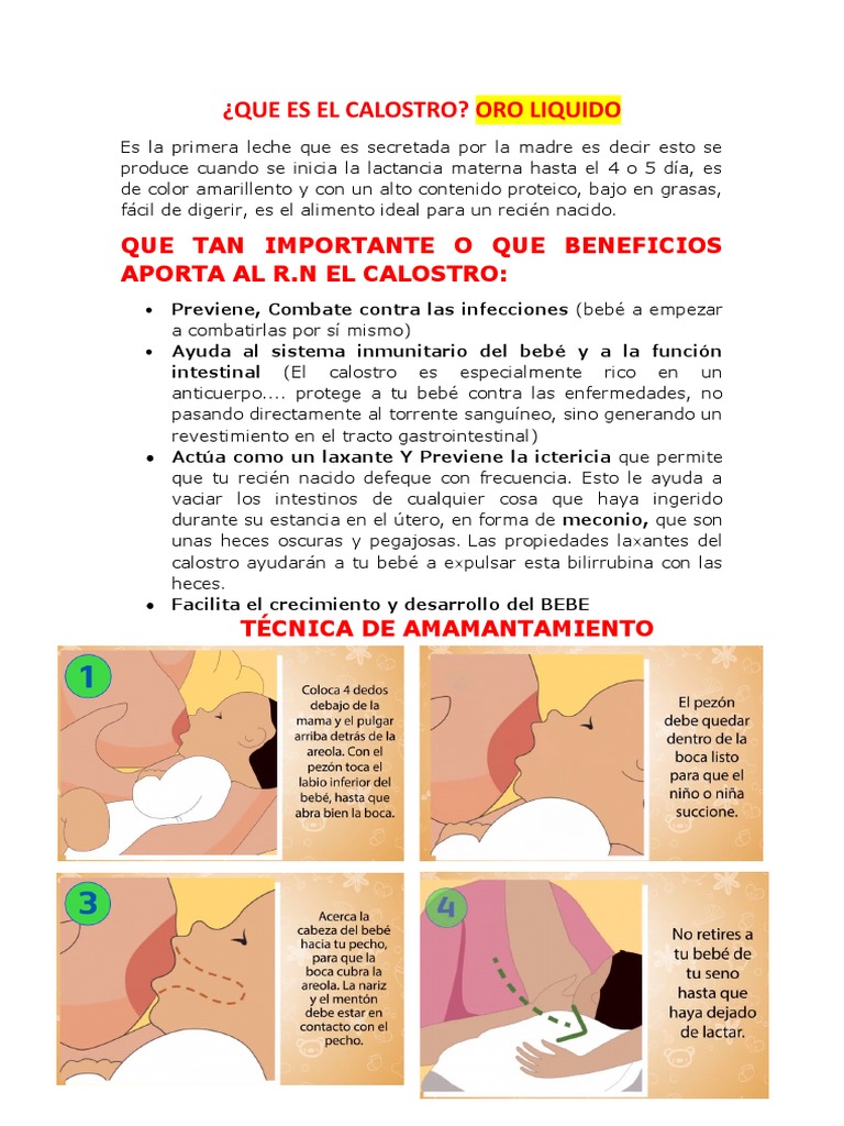 Que Es El Calostro | PDF