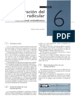 Endodoncia, Técnica y Fundamentos - PDF Documento Guía 2