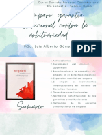 El Amparo, Garantía Constitucional Contra La Arbitrariedad