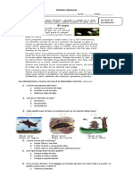 Prueba Lenguaje - Texto Informativo